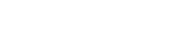 Arcturus Labs