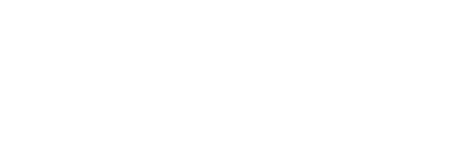 Arcturus Labs